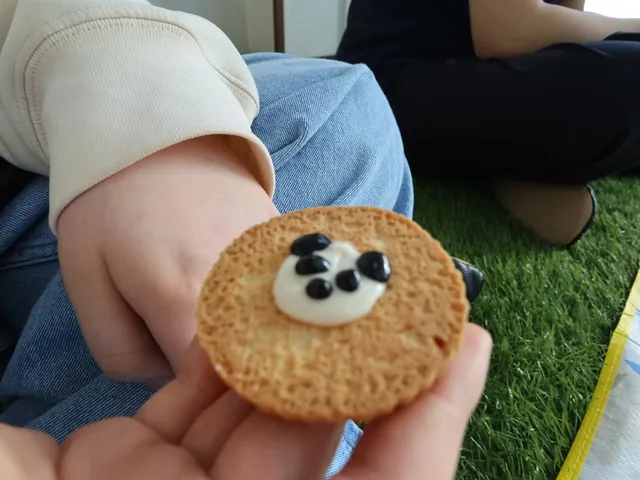 国際交流イベント｜チョコペンで描いたパンダクッキーが完成